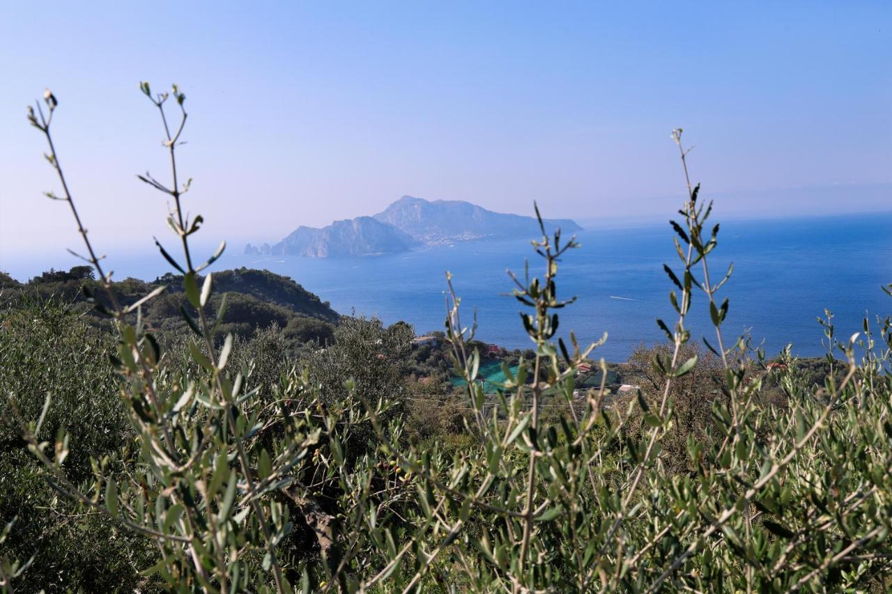 Termini Villa Italia Sorrento מראה חיצוני תמונה